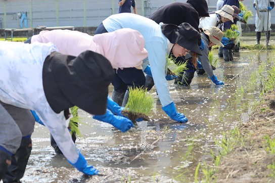 ①IMG_8189 - コピー.JPG