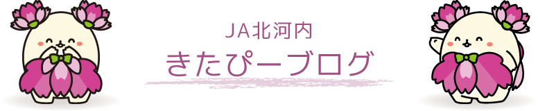 JA北河内 きたぴーブログ