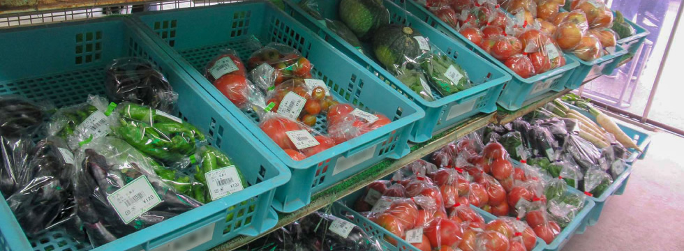 農産物の紹介