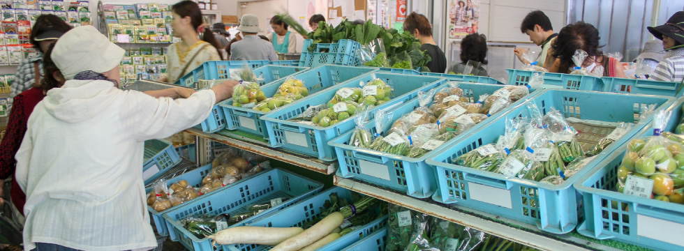 野菜と花の朝市 | JA北河内