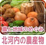 農と地域のめぐみ 北河内の農産物