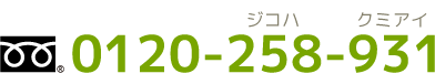 0120-258-931