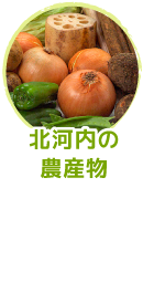 北河内の農産物