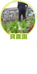 貸農園